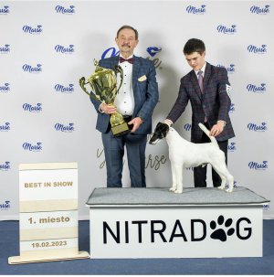 Výsledky z třídenní Mezinárodní výstavy psů NITRADOG 17.-19.2.2023
