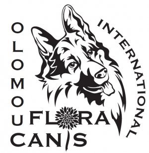 Výsledky z Mezinárodní výstavy psů FLORACANIS Olomouc 9.9.2023