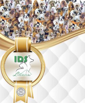 Výsledky Mezinárodní výstavy psů Litoměřice 25. 5. 2024