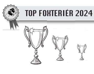 TOP foxterrier 2024