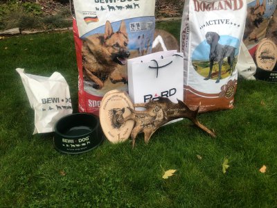 Klubové barvářské zkoušky honičů Březina (CACT, CT) 12.10. 2025