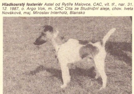 Astel od Rytíře Malovce