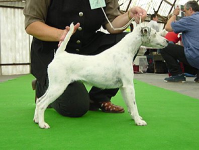 Cesna od Rytíře Malovce