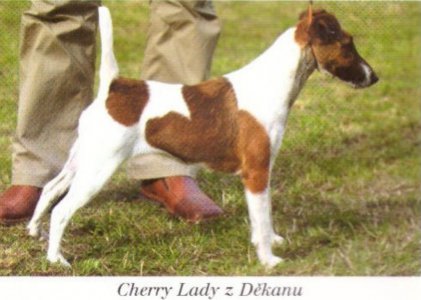 Cheery Lady z Děkanu