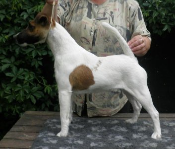 Opera od Rytíře Malovce