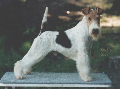 Watus von der Bismarckquelle