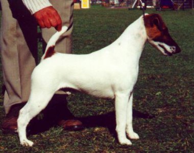 Sunrise Memories of Mansevale