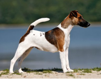 Fly von der Bismarckquelle