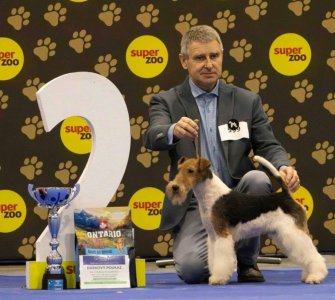 Aro Filomenia de Yli