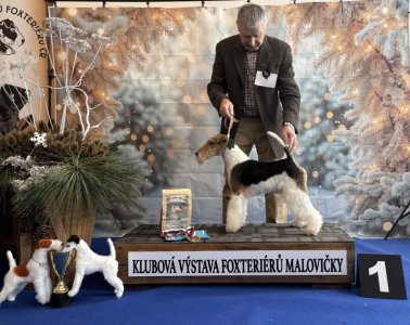 Aro Filomenia de Yli