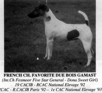 Favorite du Bois Gamast