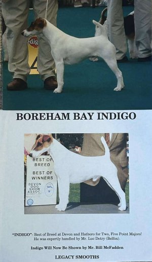 Boreham Bay Indigo