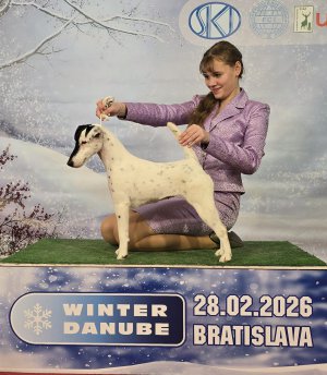 Champagne od Máničky